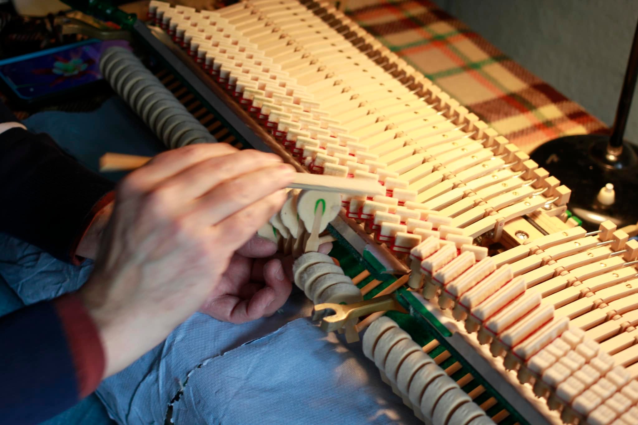 481356300_1179617054164683_3230657910634690447_n