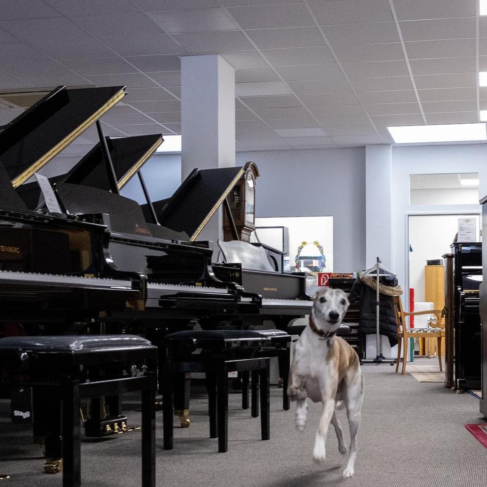 489820045_1213081260818262_5867803658599913884_n